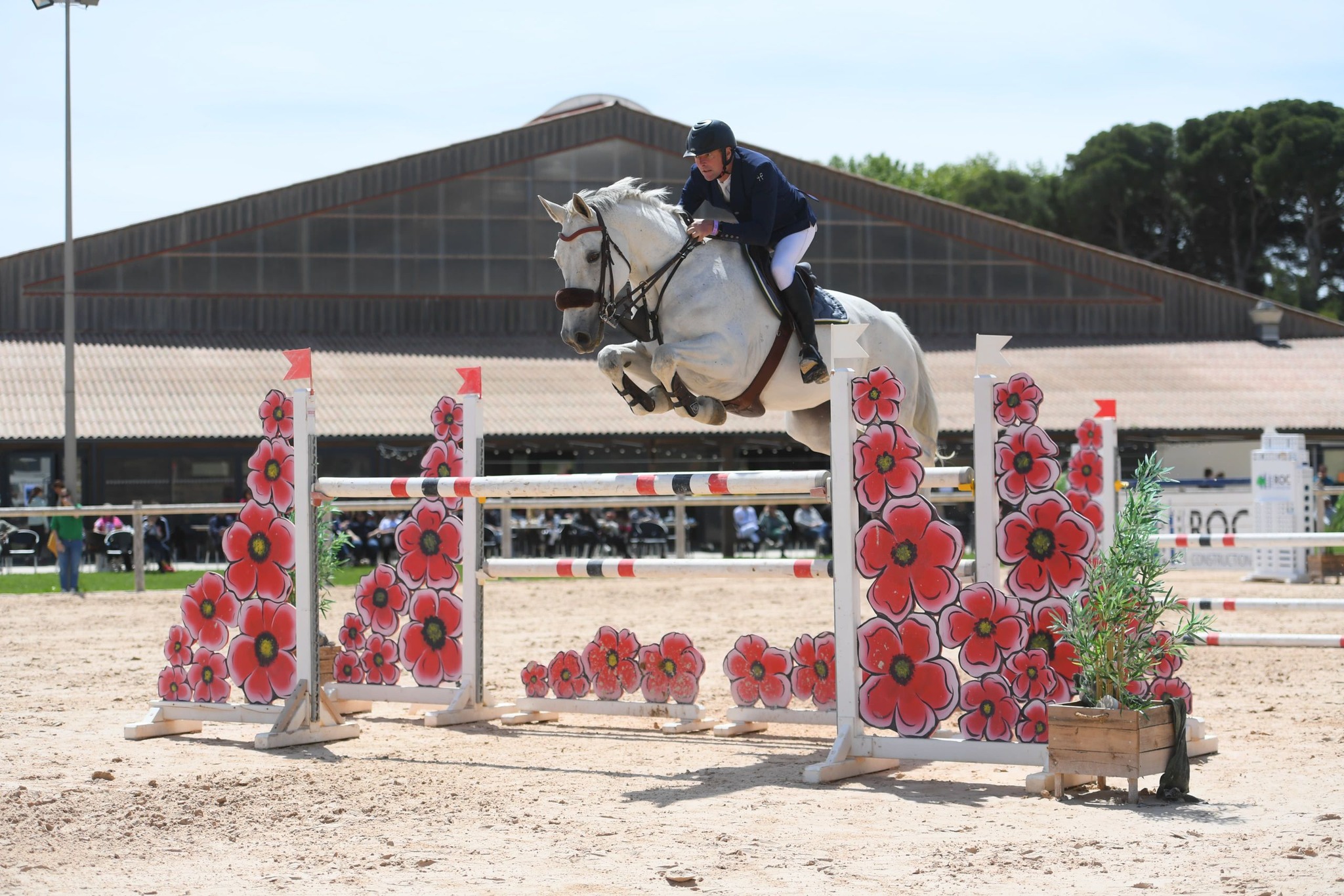Parcours compétition saut obstacles